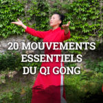 Les 20 mouvements essentiels du Qi Gong