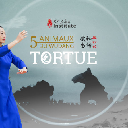 Les 5 animaux du Wudang – Tortue