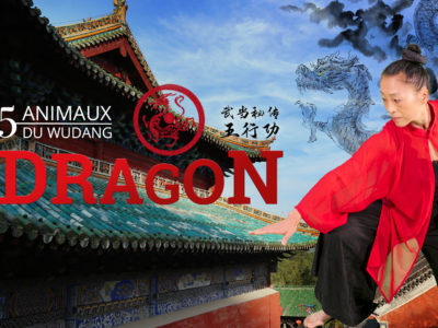 Les 5 animaux du Wudang – Le Dragon