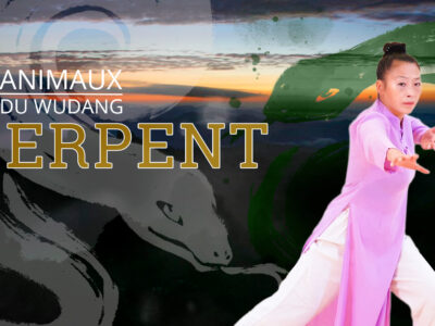 Les 5 animaux du Wudang – Le serpent
