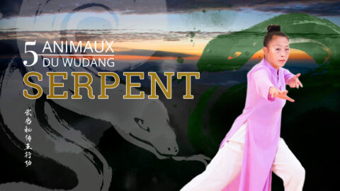 5 animaux Wudang – serpent copie Les 5 animaux du Wudang – Le serpent